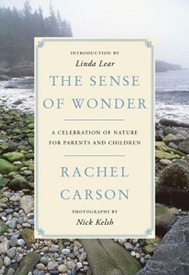 THE SENSE OF WONDER