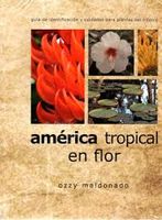 AMERICA TROPICAL EN FLOR