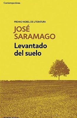 LEVANTADO DEL SUELO