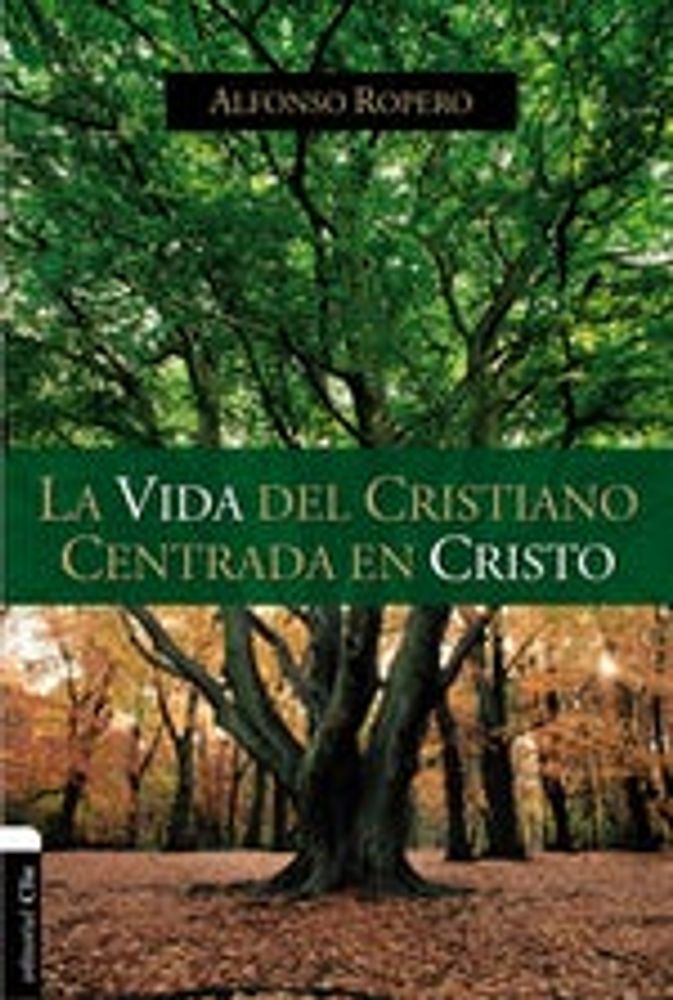 LA VIDA DEL CRISTIANO CENTRADA EN CRISTO