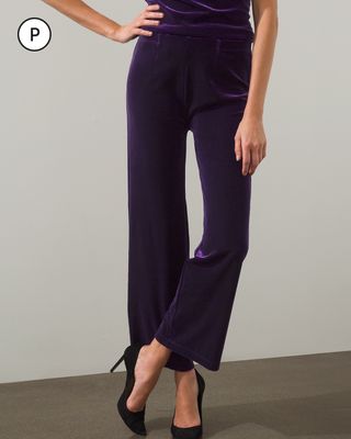 Petite Travelers Collection Velvet No Tummy Pants