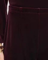 Petite Travelers Collection Velvet No Tummy Pants