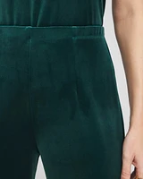 Petite Travelers Collection Velvet No Tummy Pants