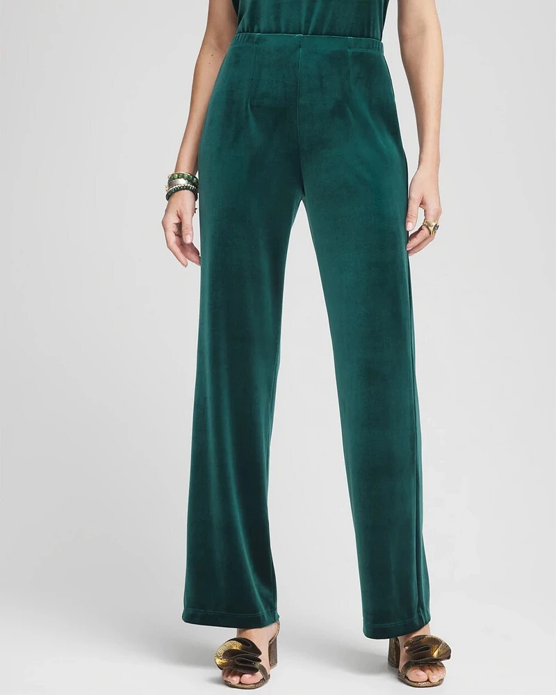 Petite Travelers Collection Velvet No Tummy Pants