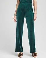 Petite Travelers Collection Velvet No Tummy Pants