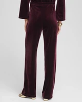 Petite Travelers Collection Velvet No Tummy Pants
