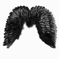 Feathery Angel Wings