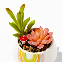 Rainbow Planter With Faux Succulent