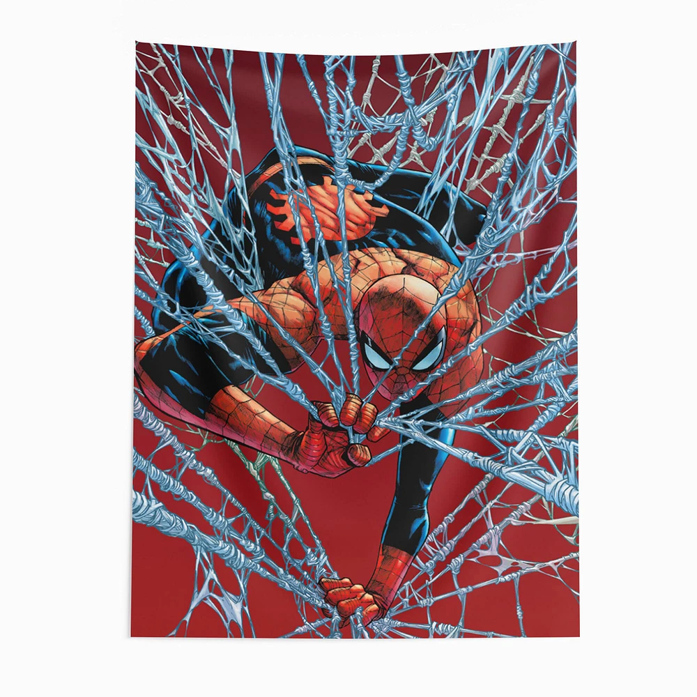 Spider-Man™ Web Watcher Wall Hanging Tapestry (ds)