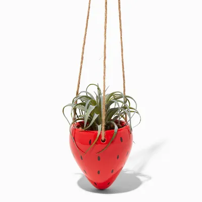 Hanging Strawberry Planter With Faux Succulent Plant