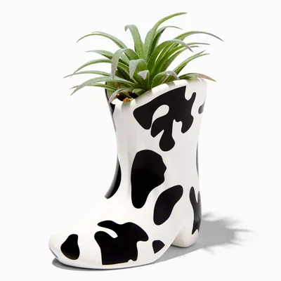 Cow Spots Cowboy Boot Planter With Faux Succulent