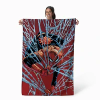 Spider-Man™ Web Watcher Wall Hanging Tapestry (ds)