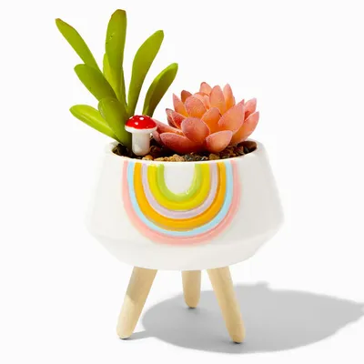 Rainbow Planter With Faux Succulent