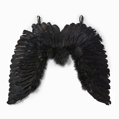 Feathery Angel Wings