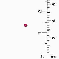 Fuchsia Cubic Zirconia 4mm Round Stud Earrings