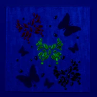 Glow in the Dark Butterfly Body Gems