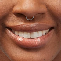 16G Silver-tone Stainless Steel Cubic Zirconia Horseshoe Septum Nose Ring 