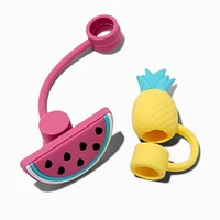 Pineapple & Watermelon Straw Covers - 2 Pack