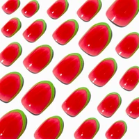 Watermelon French Tip Stiletto Press On Vegan Faux Nail Set - 24 Pack