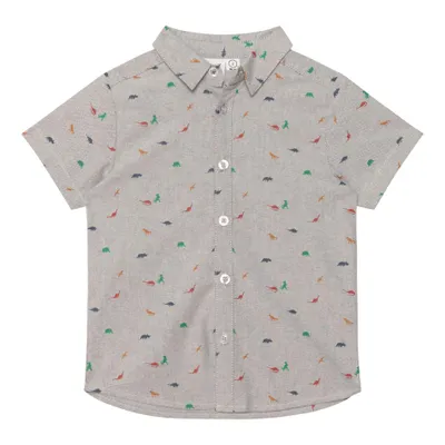 Little Dino Shirt 3-6y