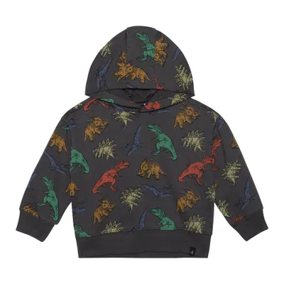 Little Dino Sweatshirt 3-6y