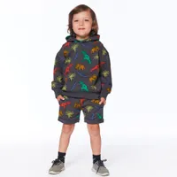 Little Dino Sweatshirt 3-6y