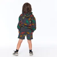 Little Dino Sweatshirt 3-6y