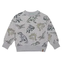 BOYS Dino Sweatshirt 3-6y