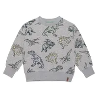 BOYS Dino Sweatshirt 3-6y