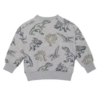 BOYS Dino Sweatshirt 3-6y