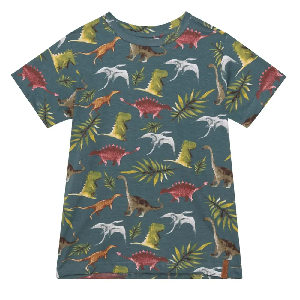 BOYS Dino T-Shirt 3-6y