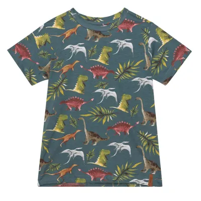 BOYS Dino T-Shirt 3-6y