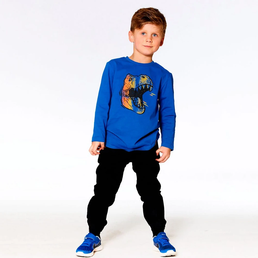 BOYS T-Rex Long Sleeves T-Shirt 3-6y