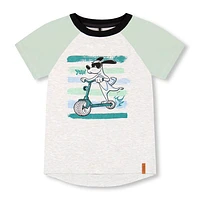 BOYS Raglan T-shirt 3-6