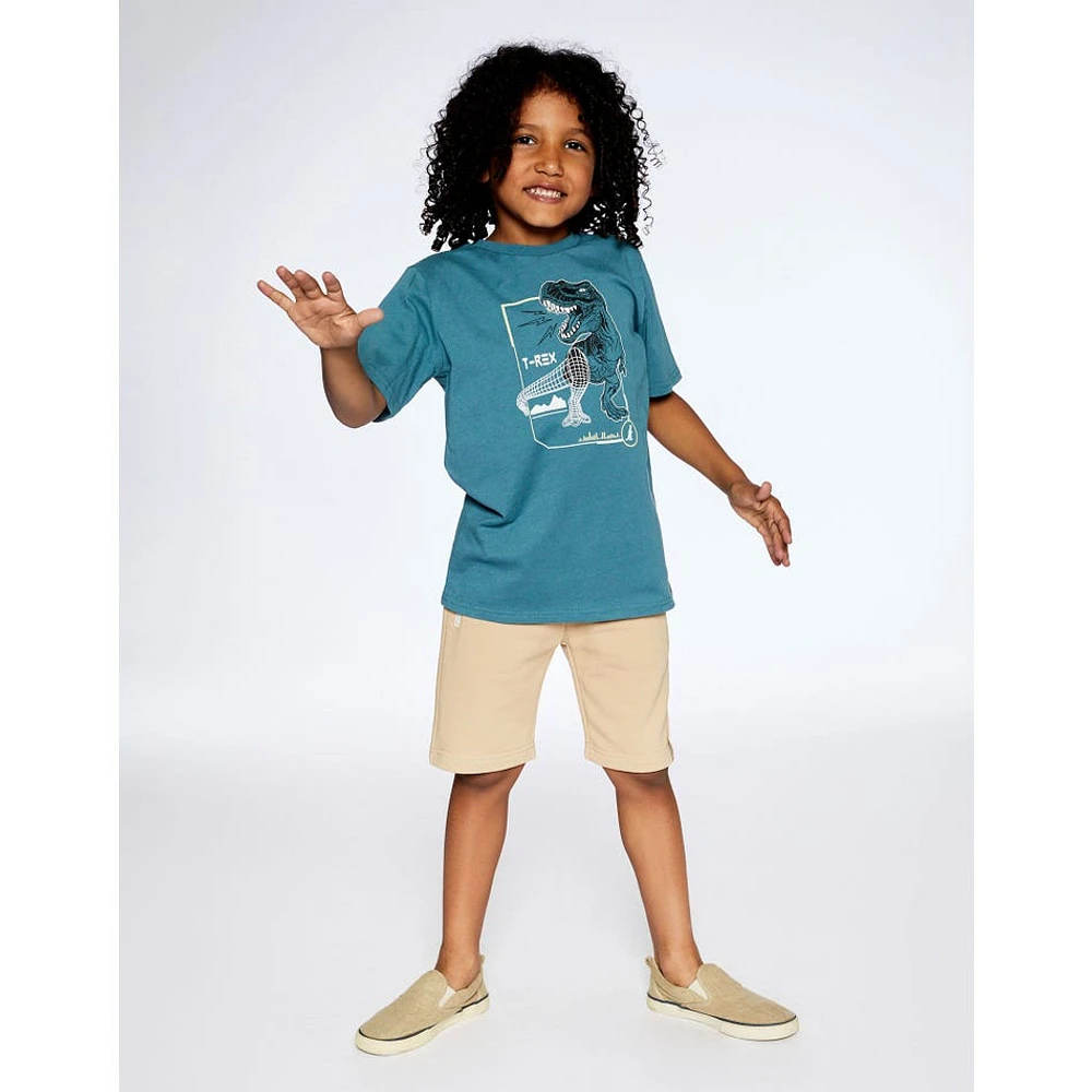 T-shirt T-Rex BOYS 3-6ans