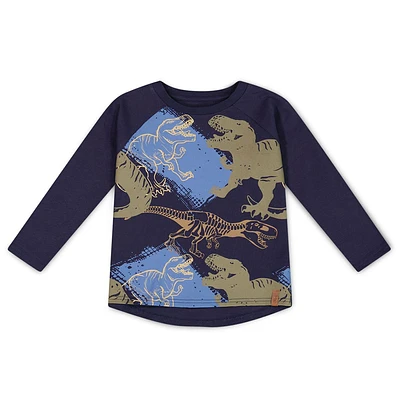 Boys Raglan Dino T-shirt 3-6y