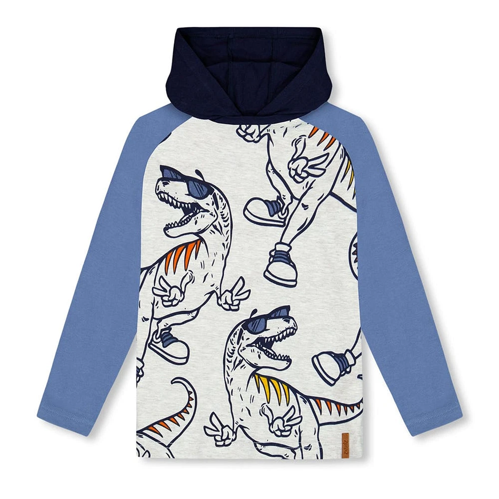 Boys Raglan Hooded T-shirt 3-6y