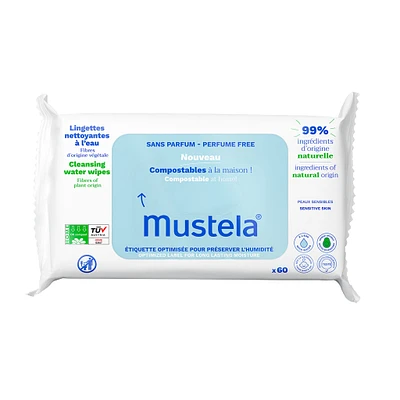 Compostable Water-Based Cleaning Wipes