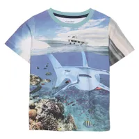 Beach Shark T-Shirt 3-8y