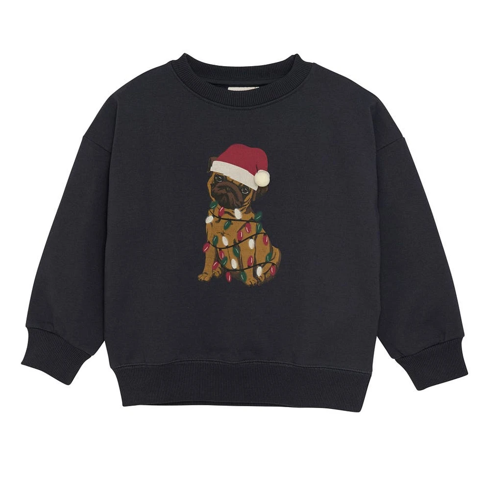 Festive Dog Sweatshirt 3-8y