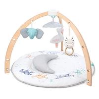 Baby Activity Gym - Rising Star