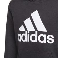 Big Logo Hoodie 8-16y