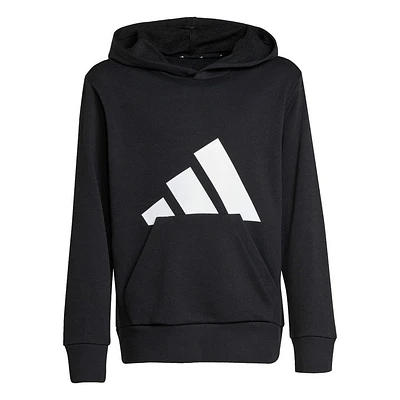 Big Logo Fleece Hoodie 8-16y