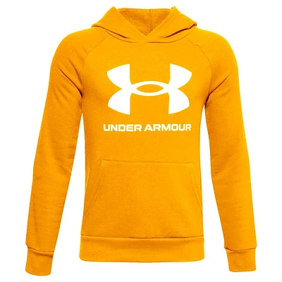 Big Logo Hoodie 8-20y