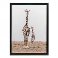 Frame Giraffes