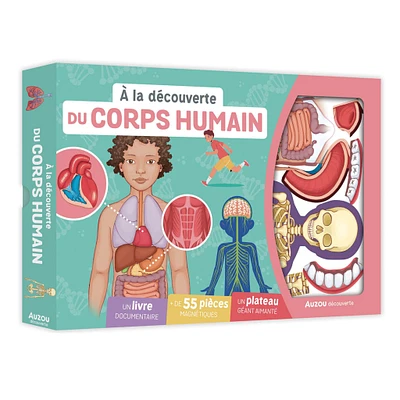 À La Découverte Du Corps Humain