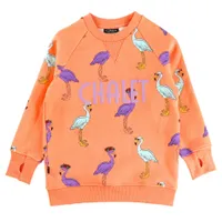 Flamingo Chalet Sweatshirt 2-7y