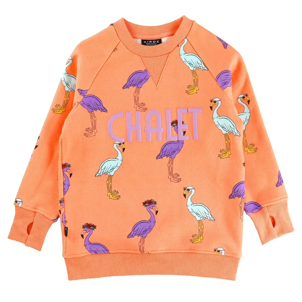 Flamingo Chalet Sweatshirt 8-12y