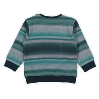 Artic Striped Sweatshirt 6-24m