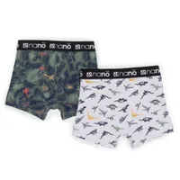 Dinosaurs 2-Pack Boxers 2-12y